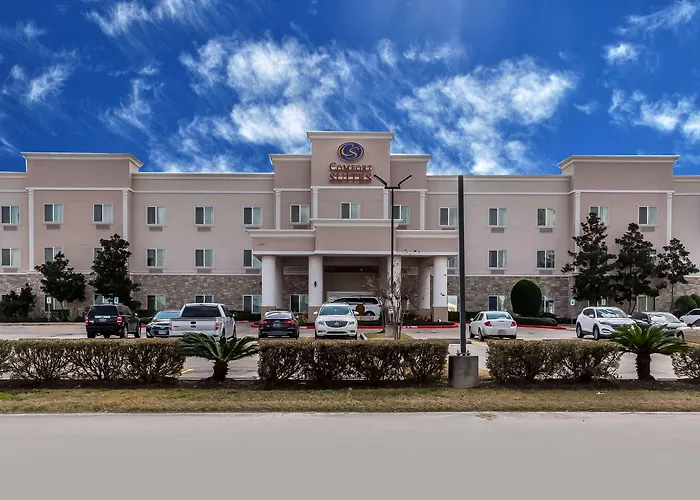 Comfort Suites Houston Iah Airport - Beltway 8